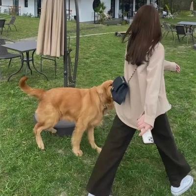 我阿妈系黑工